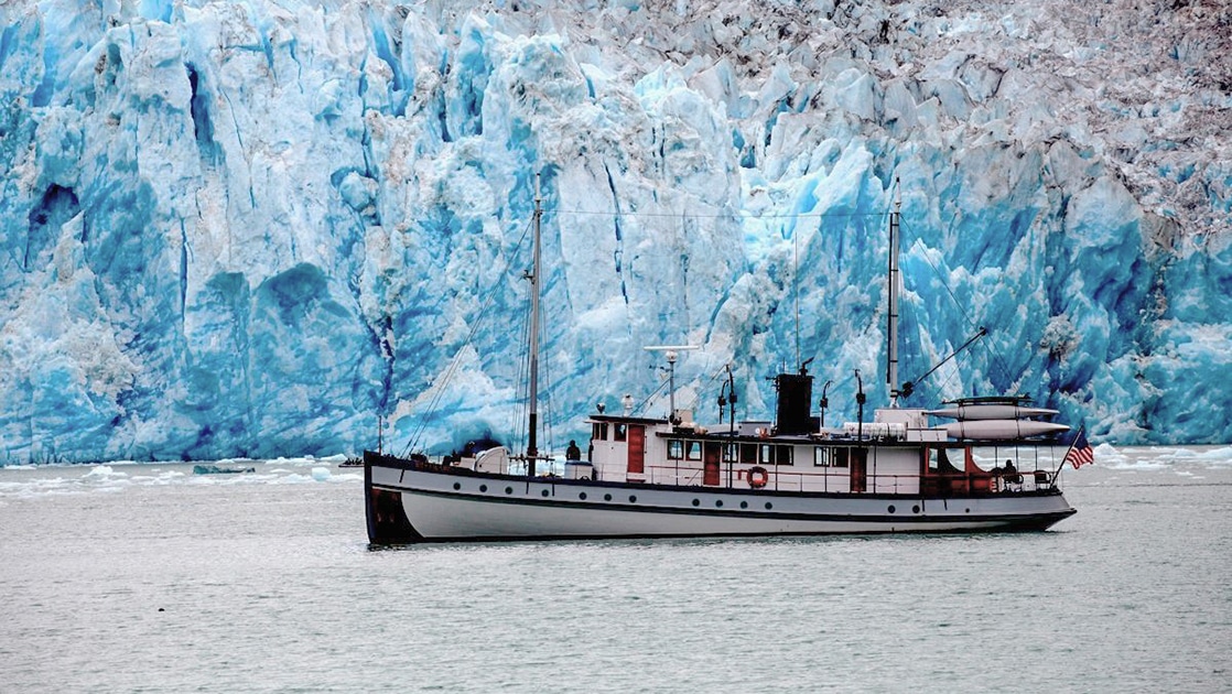 Discover Glacier Bay National Park Cruise AdventureSmith