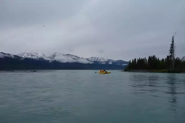 Guests from a small ship cruise in alaska kayaking. 