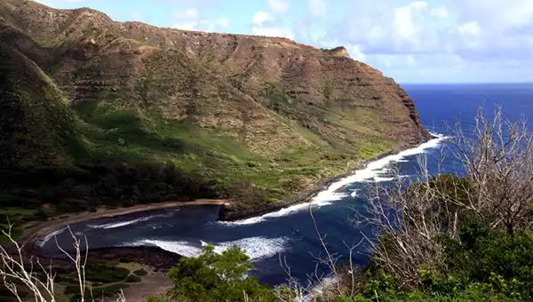Coastline view of the Hawaii island of Maui with brush in foreground and waves curving along the shore of green hills