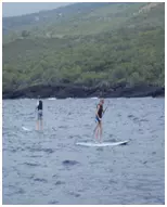 Two paddleboarders navigating the shoreline of Hawaii