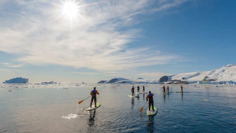 A group of people paddle stand-up boards on calm waters in the ocean in antarctica