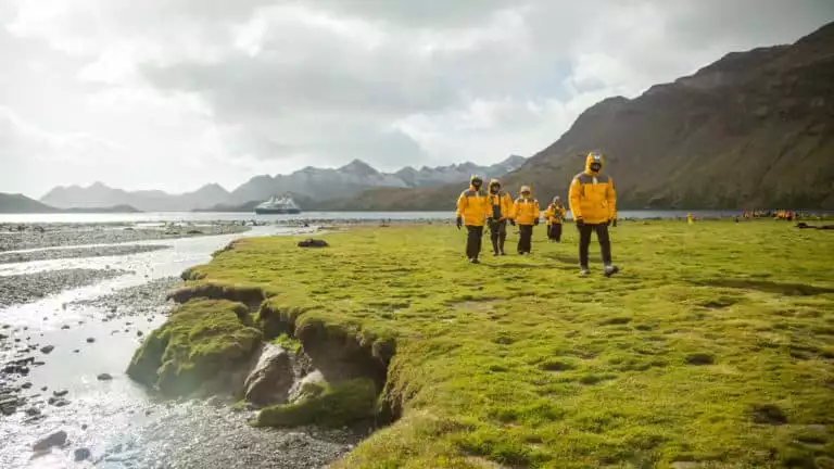 Antarctica small ship expedition travelers walk along bright green grass beside the water on a partially sunny day.