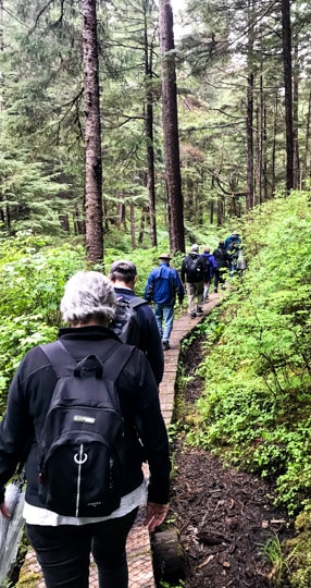 A photo taken from the back of a line of a group of hikers as they make their way across a wooden pathway surrounded by lush forest as aprt of a shore excursion on an Alaska cruise 
