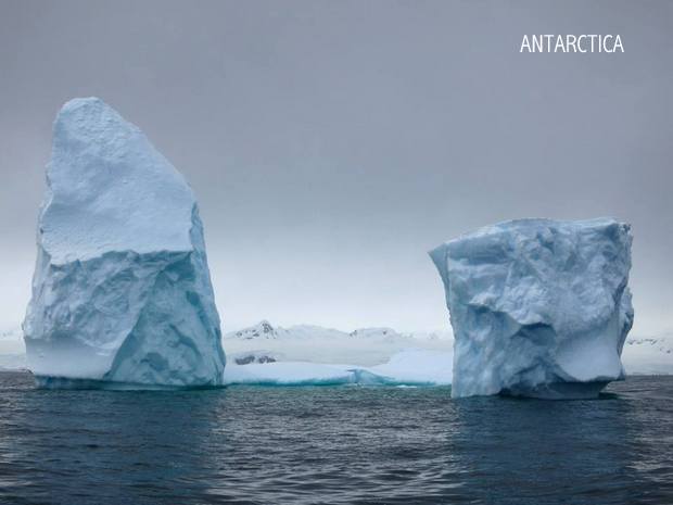 Two standalone icebergs in Antarctica on an overcast day