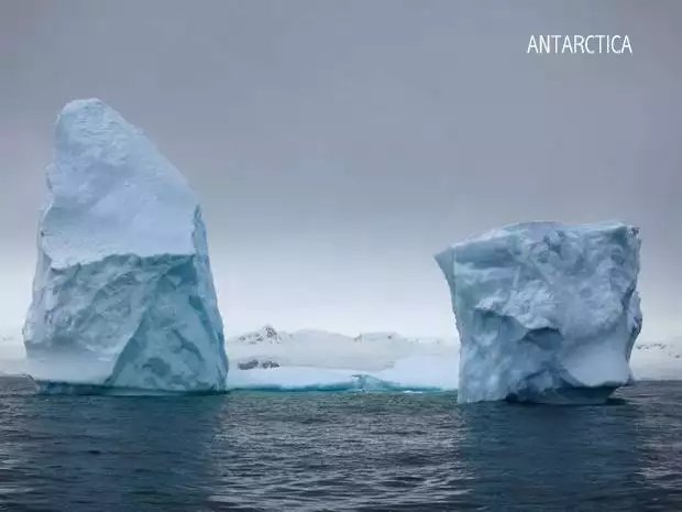 Two standalone icebergs in Antarctica on an overcast day