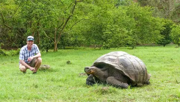A male traveler crouching in a green field next to a giant Galapagos tortoise. 