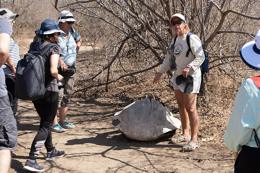A group of travelers on a barren island landscape circled around a Galapagos naturalist guide listening to her discussion about an empty tortoise shell