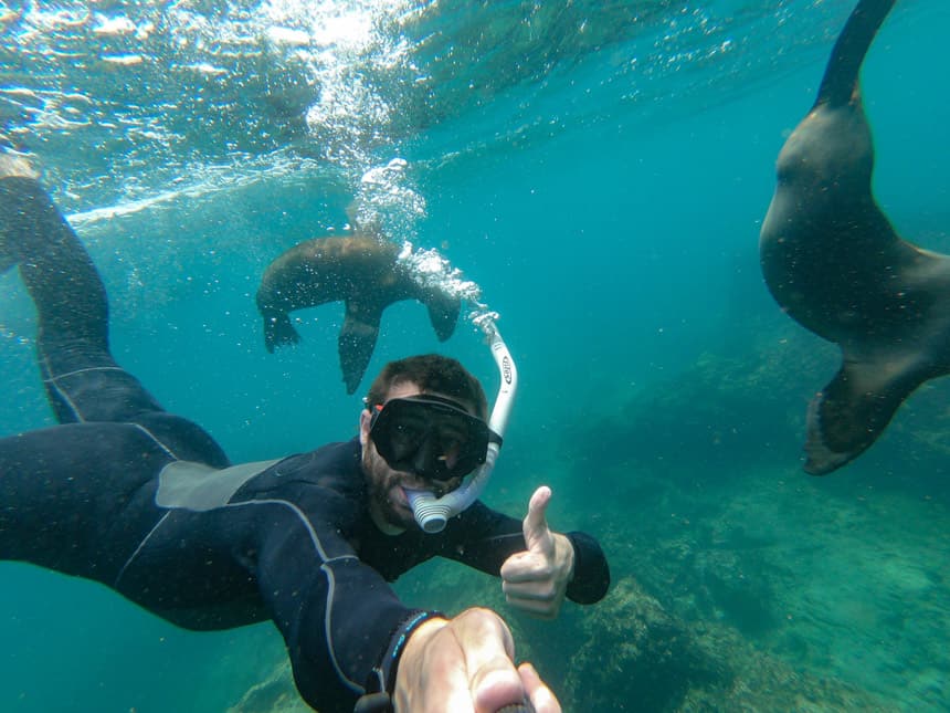 Snorkeler underwater taking a photo of himself and two sea lions swimming underwater