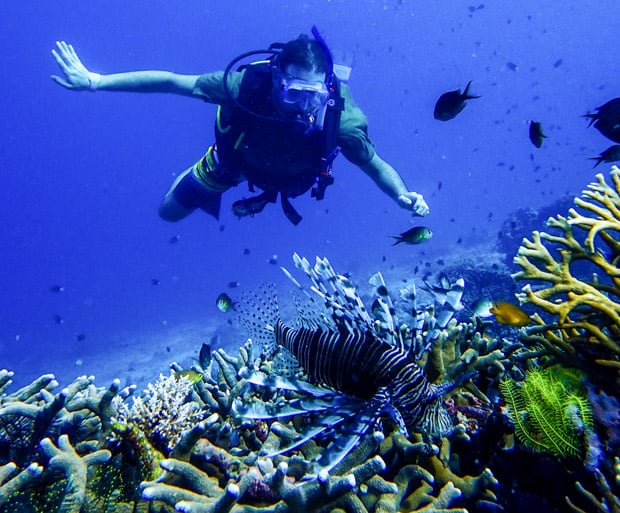 Snorkeler in front of a lion fish in the South Pacific. 