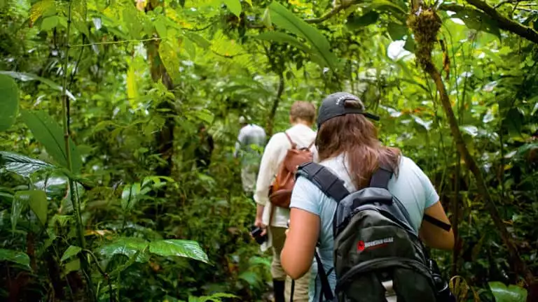 People walking in dense Amazon jungle
