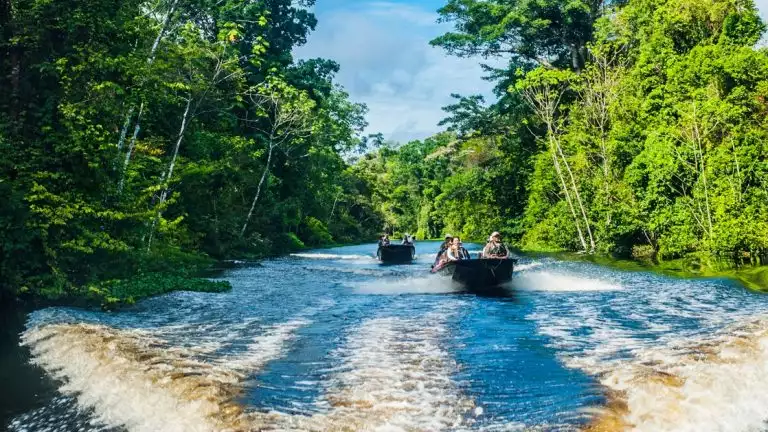 Two metal boats carry guests and cruise down the center of a river flaked on either side by lush green jungle shoreline.