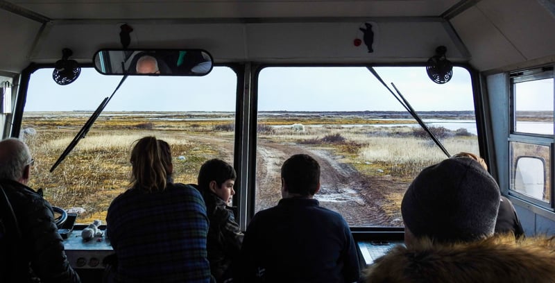 a photo taken from inside the polar rover off-road bus out the front window, 5 guests are looking out of the windshield at a polar bear who is walking 100 feet away along the fall colors of the Canadian arctic, the guests are all part of the classic polar bear adventure land tour 