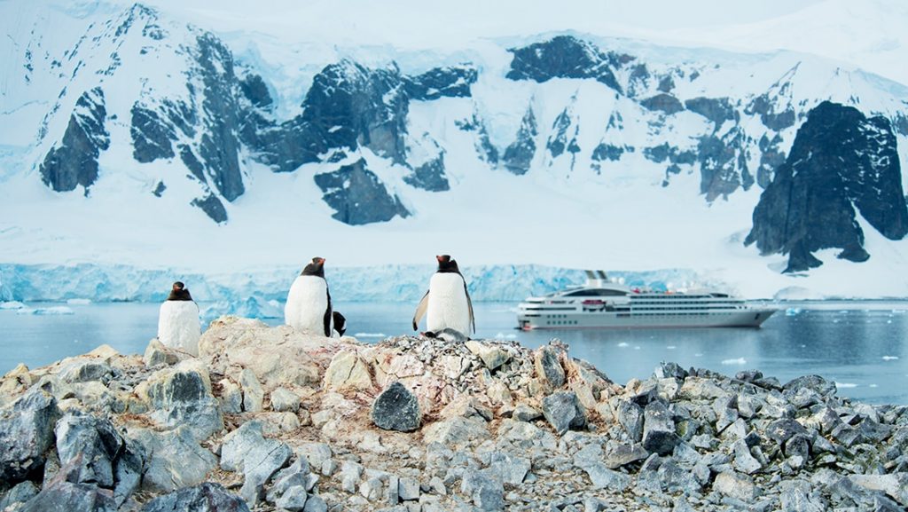 Surrounded by mountains, 3 black and white penguins with orange beaks stand on a rocky cliff overlooking a bay with a ship cruising.