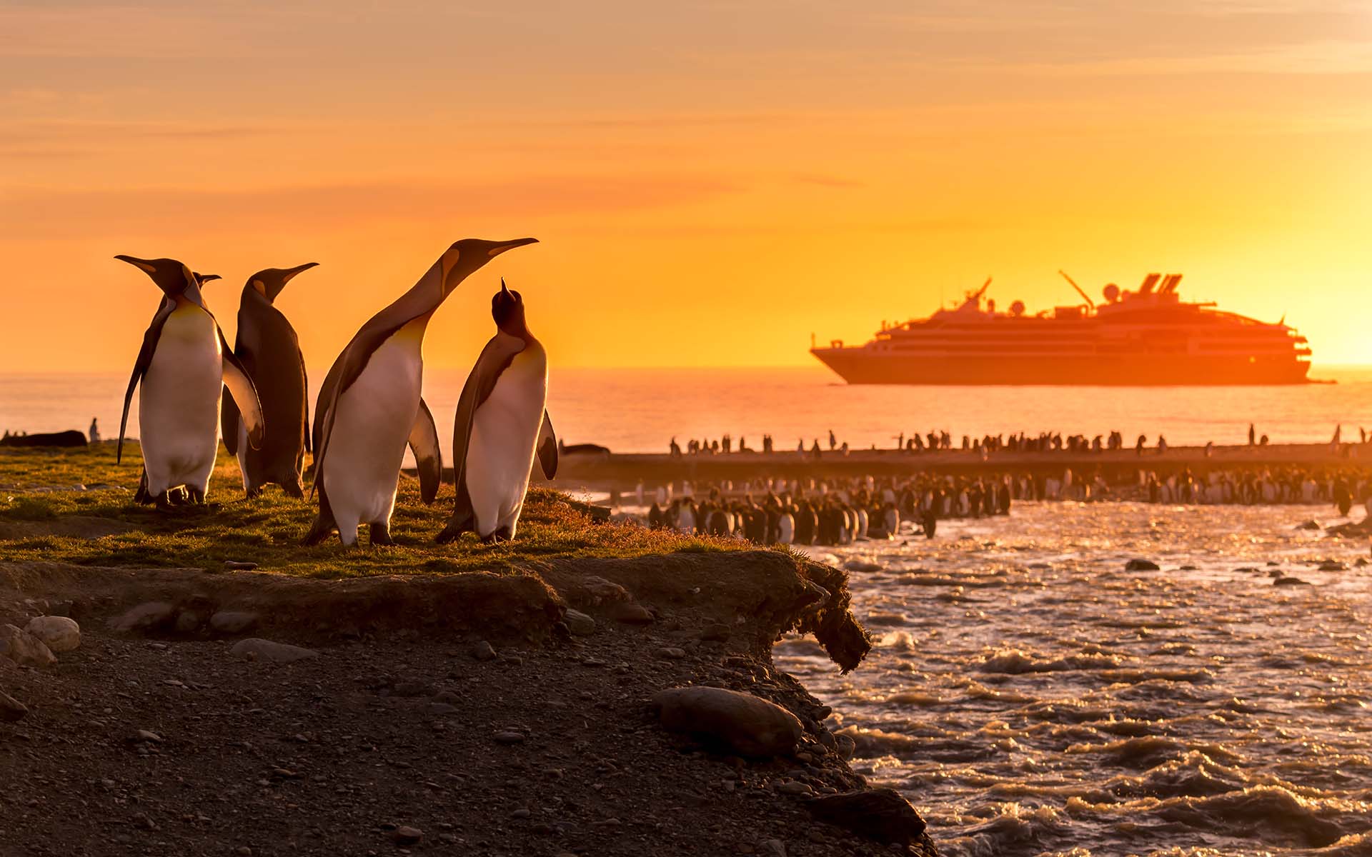 A vivid yellow orange sunset in Antarctica's South George Island. A colony of king penguin occupy the land as a ship floats offshore.