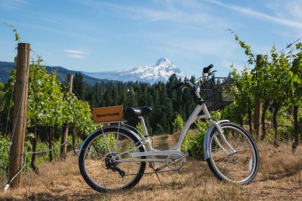 Romantic biking and winery excursion from a small ship river cruise in the Pacific Northwest. 