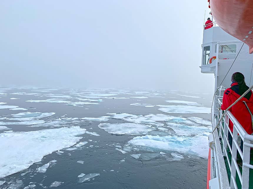 What to Expect on a Polar Bear Cruise AdventureSmith Explorations