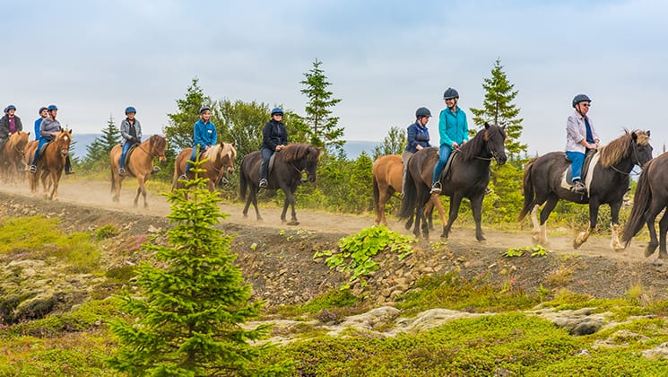 A group of travelers forms a line while riding on horseback among green fields during the Wild Iceland Escape arctic cruise.