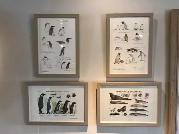 artwork and decor hanging from the wall inside a hallway of hebridean sky polar expedition ship  
