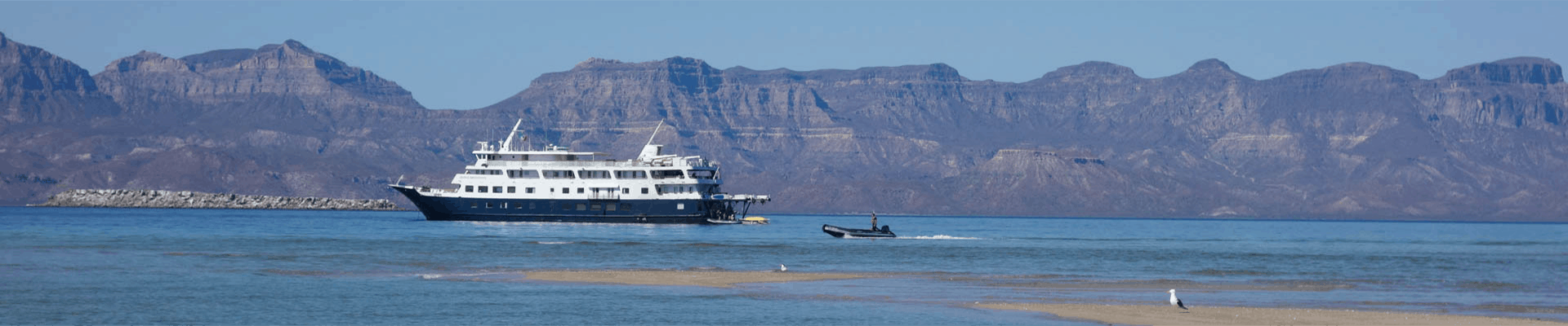 A small ship cruise seen from the shore with Baja mountains behind it.