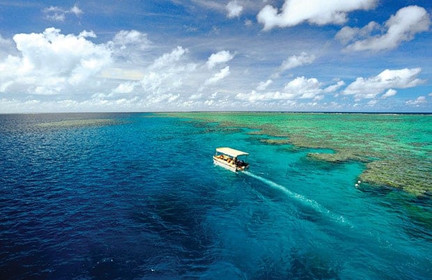 A ferry taking passengers out to snorkel in the Great Barrier Reef