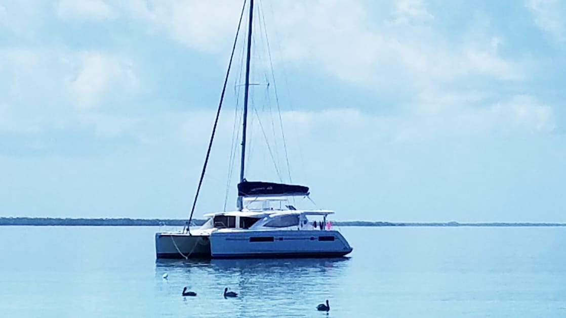 Belize catamaran Endless Options, with white-&-blue motif, sits in calm water on a sunny day while birds swim nearby.