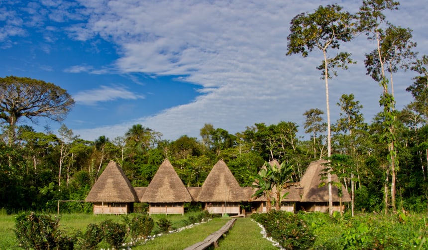 A row of bamboo and thatch cabanas sit amongst lush green lungle in the Ecuadorian Amazon at the Napo Wildlife Center
