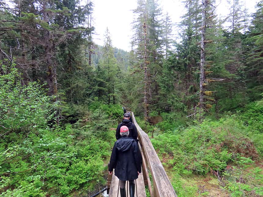 Shot from behind a group of people walk on a wood bridge into lush green forest on their way to Baranof Warm Springs as the days activity on an Alaska small ship cruise.