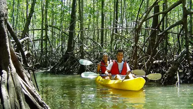 Costa Rican travelers kayaking on a river through a rainforest.