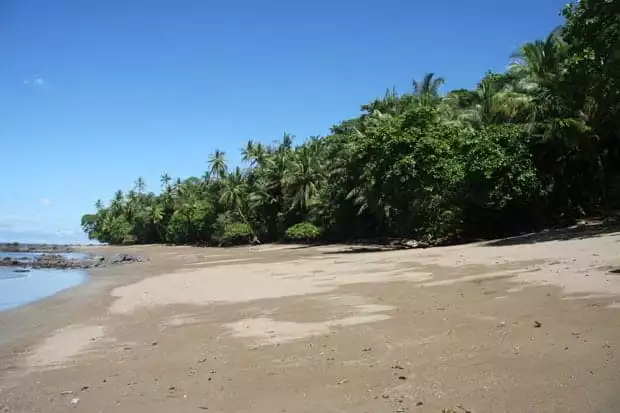 A sandy beach along side the Costa Rican jungle.