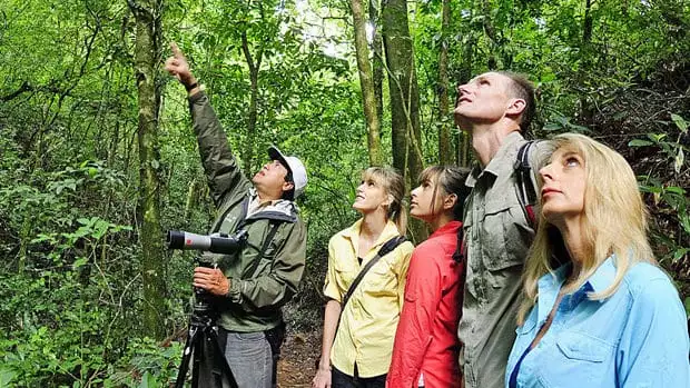 Costa Rican travelers and guide observing from a trail in the rainforest.
