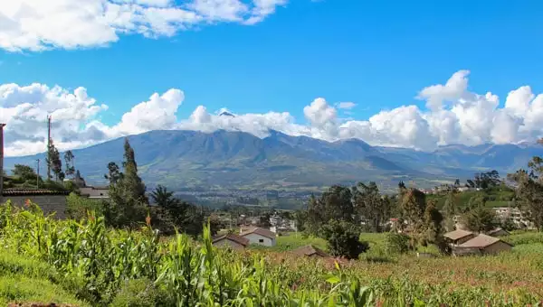 Andes Highlands village with terra cotta roofs, scattered trees, bright green fields of corn stalks & red flowers on a sunny day during an Ecuador tour.