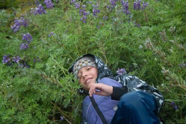 One young boy laying in a field of wildflowers while on a land-tour in Alaska.