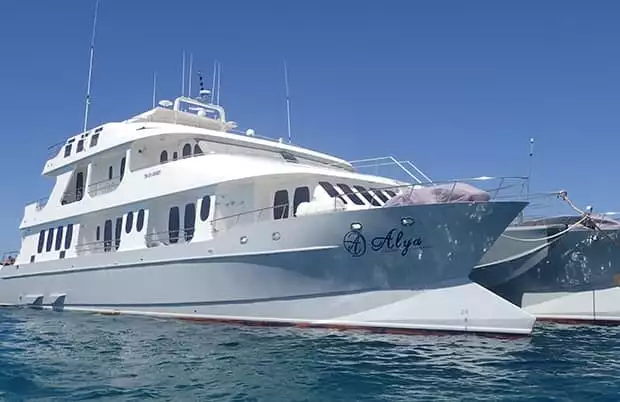 Close up view of the small ship cruise catamaran Alya anchored in the ocean of the Galapagos.