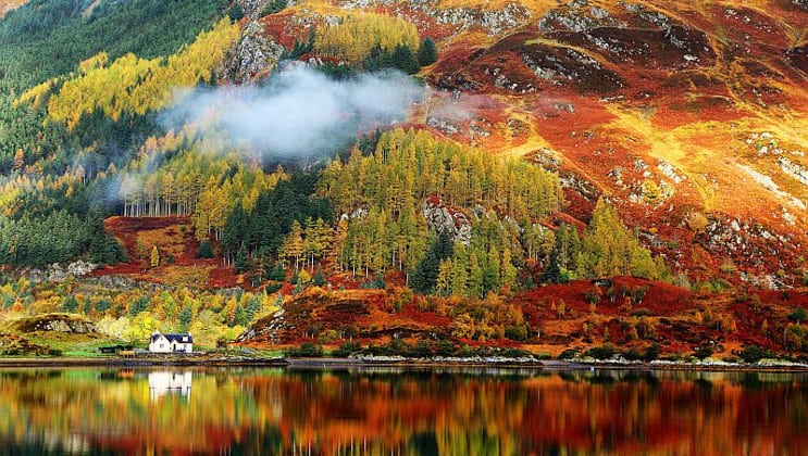 Fall colors of red, green & gold on a Scottish hillside seen during the Classic Scotland Barge Cruise.