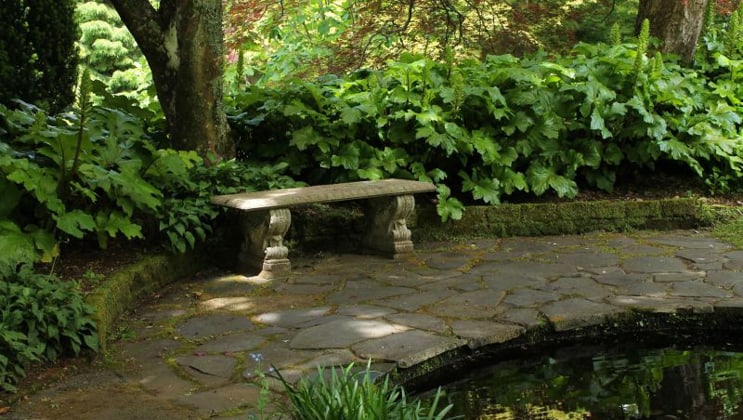 A stone bench & walkway surrounded by green ferns in a secret garden at Highclere Castle, seen during the Classic England Including Downton Abbey Cruise.