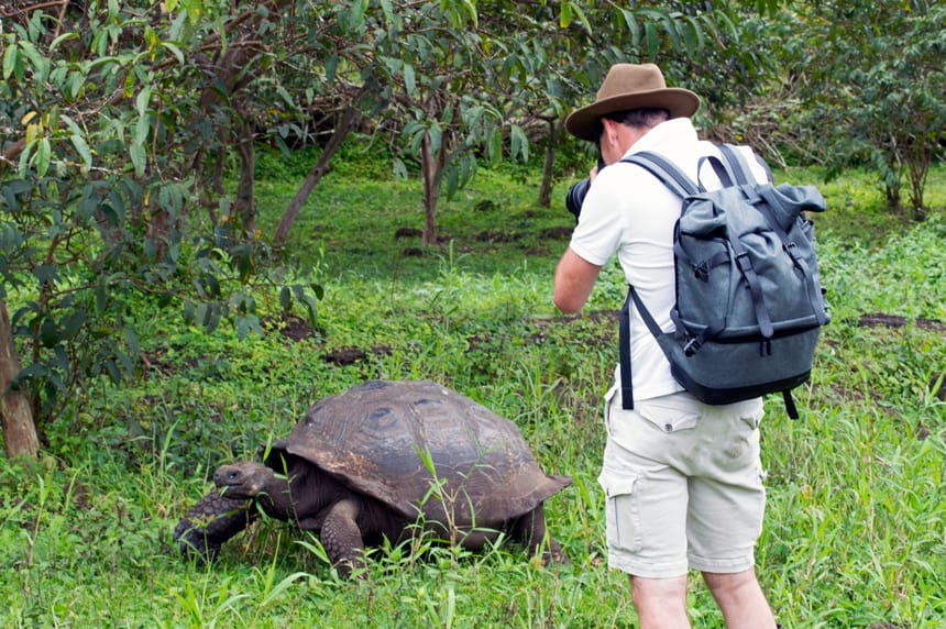 In the lush green highlands of santa cruz Island a traveler stands in a back pack and hat with a camera to his eye, taking a photo of the Galapagos Giant tortoise on the ground before him