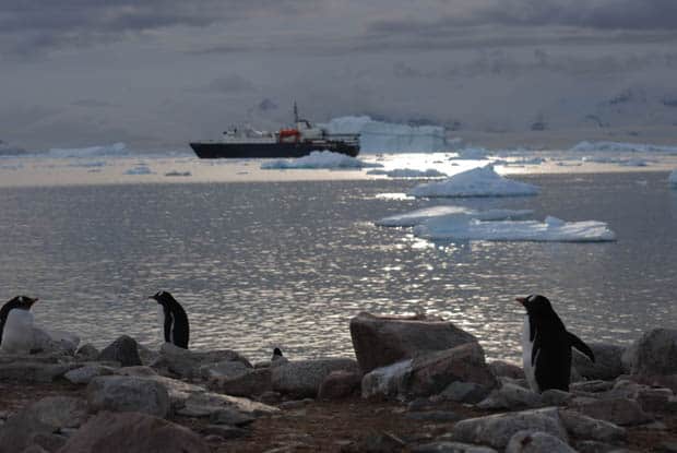 Penguins on the beach in Antarctica with a small expedition cruise ship in background. 