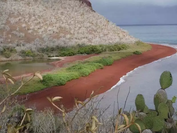 Hiking above a red sand beach in the Galapagos on a land tour from a small ship cruise. 