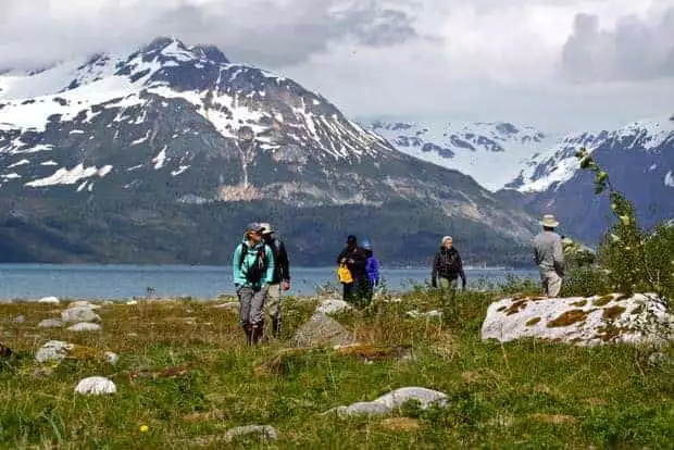 Guests from their small ship cruise walking on tour in Alaska. 