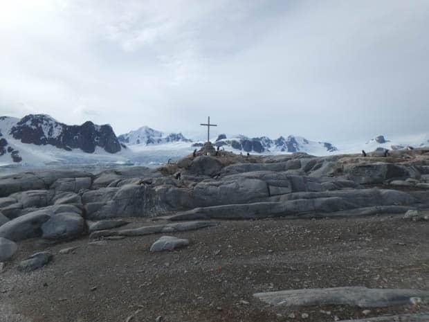 A cross on top of rocks with penguins nearby on land in Antarctica. 