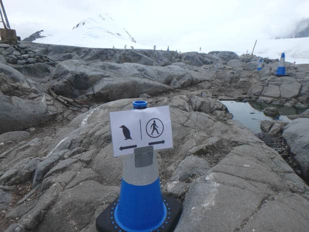 Sign guiding small ship passengers around the penguins in Antarctica. 