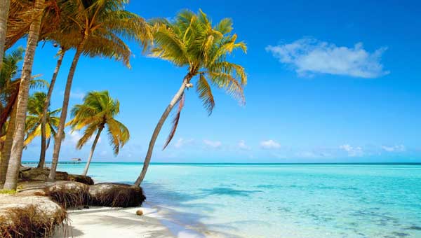 tropical island seen during belize sailing vacations with white sand and palm trees overlooking aqua water and barrier reef with blue sky.