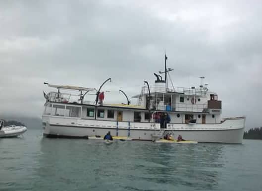 Sea Wolf Glacier Bay Adventure Cruise Traveler Review - AdventureSmith