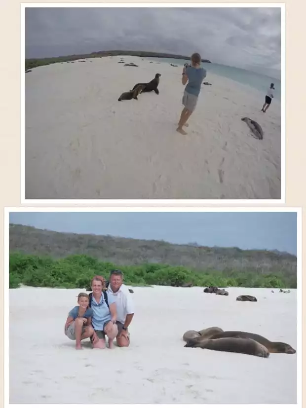 collage with a girl taking a picture of galapagos sea lions and a family posing next to sleeping seals