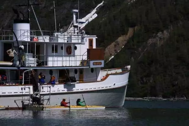 Guests on the Sea Wolf kayaking straight from their small ship in Alaska.  