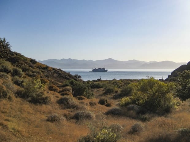View of a dry grassy island with a Baja small ship cruise floating on the ocean with mountains in the background.