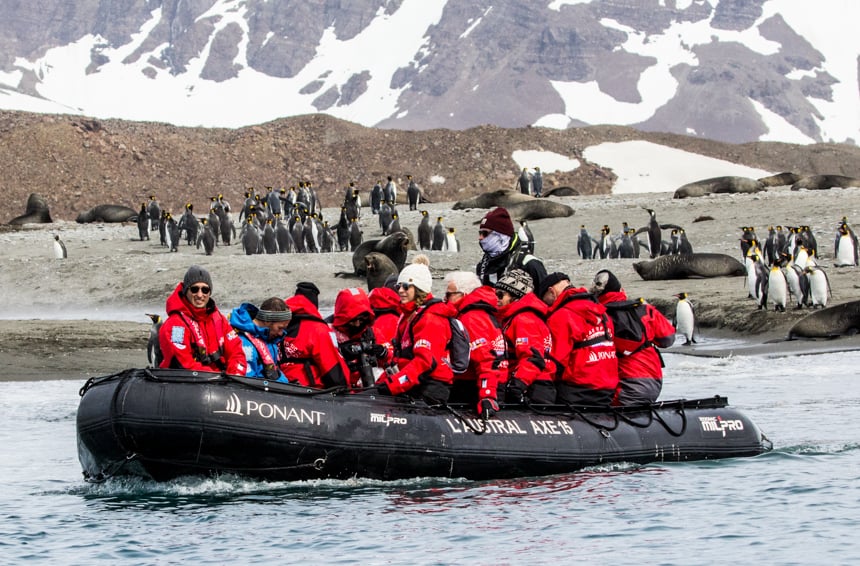A group of Ponant travelers wearing red parkas sit inside a black infl;atable skiff, they boat along the South Gerogia shoreline covered with king penguins and elephant seals