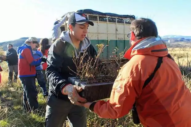 Group of people working on the Lenga Tree reforestation project in Torres del Paine National Park in Chile and holding new trees to be planted. 