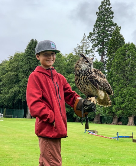 A boy wearing a red sweater, grey baseball cap and a heavy duty glove holds still as a owl perches on his fist, as part of a Scottish falconry activity.
