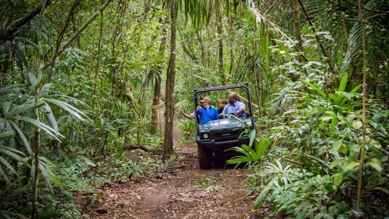 A small group of people on a four wheel drive off roading rainforest tour in Belize.